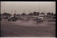 Unidentified Team ropers