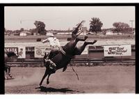 Unidentified Bareback rider