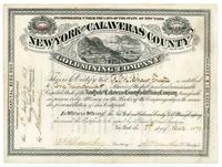 This is to certify that R.M. Shaw, Trustee is entitled to 100# shares of the full paid...capital sto
