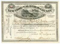 This is to certify that Herbert A. Brown is entitled to One Hundred Shares...capital stock
