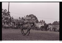 Unidentified Bareback rider