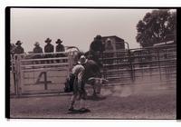 Unidentified Bull rider on unknown Bull