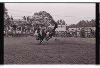 Unidentified Bareback rider