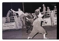 Unidentified rider on unknown Bull