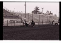 Unidentified Steer wrestler