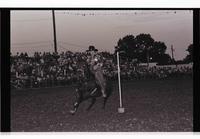 Unidentified rider in Pole bending event