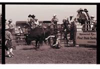 Unidentified rider on unknown Bull