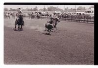 Unidentified Team ropers