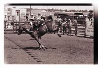 Unidentified Bareback rider on unknown mount