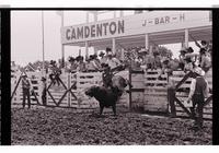 Unidentified Bull rider on unknown mount