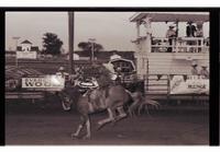 Unidentified Bareback ridier