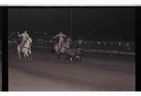 Unidentified Team ropers