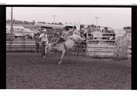 Unidentified Bareback rider on unknown mount