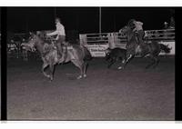 Unidentified Team ropers