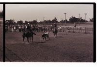 Unidentified Team ropers