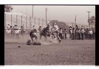 Unidentified Calf roper