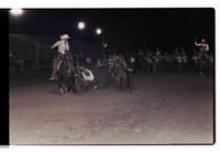 Unidentified Steer wrestler