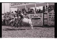 Unidentified Bull rider on unknown mount