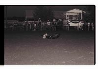 Unidentified Steer wrestler