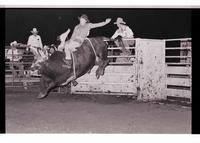 Unidentified rider on unknown Bull