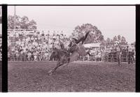 Unidentified rider on unknown mount