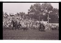 Unidentified Calf roping participant