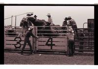 Unidentified Bull rider on unknown Bull