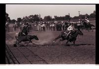 Unidentified Team ropers