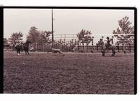 Unidentified Team ropers