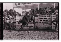 Unidentified Bull rider on unknown mount