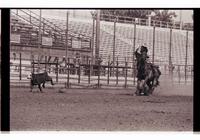 Unidentified Calf roper