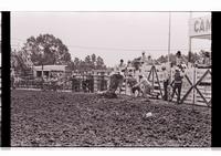 Unidentified Bull rider on unknown mount