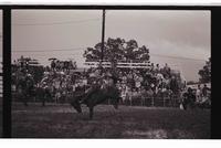 Unidentified rider on unknown mount