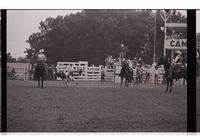 Unidentified Team ropers