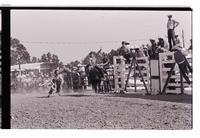 Unidentified Bull rider on unknown mount