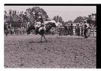 Unidentified rider on unknown mount