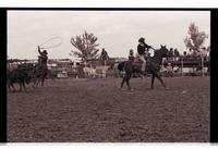 Unidentified Team ropers