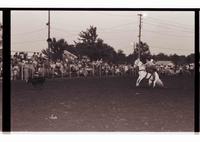 Unidentified Calf roper