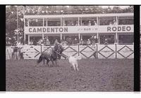 Unidentified Calf ropers