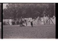 Unidentified Calf roper