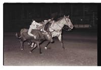 Unidentified Steer wrestler
