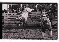 Unidentified Bull rider on unknown mount