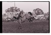 Unidentified rider on unknown mount
