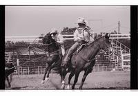 Unidentified Team ropers