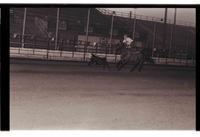 Unidentified Calf roper