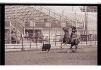 Unidentified Calf roper
