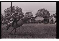 Unidentified Bareback rider