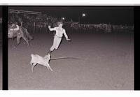 Unidentified Goat tying participant