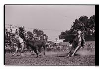 Unidentified Team ropers