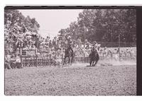 Unidentified Calf roping participant